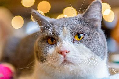 《心灵杀手2》免费发布周年更新 和DLC一同发布